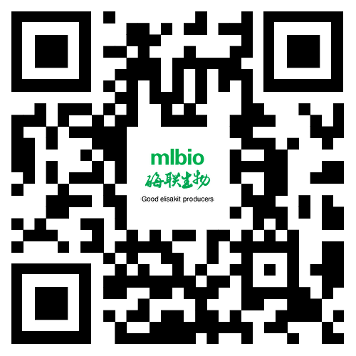 手機站二維碼